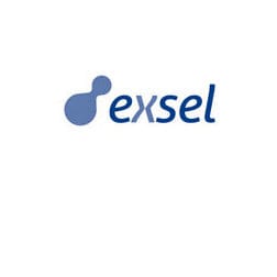 Exsel