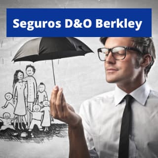 D&O Berkley